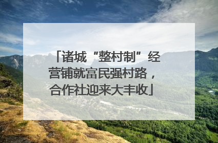 诸城“整村制”经营铺就富民强村路，合作社迎来大丰收