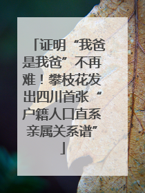 证明“我爸是我爸”不再难！攀枝花发出四川首张“户籍人口直系亲属关系谱”