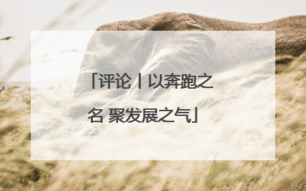 评论丨以奔跑之名 聚发展之气