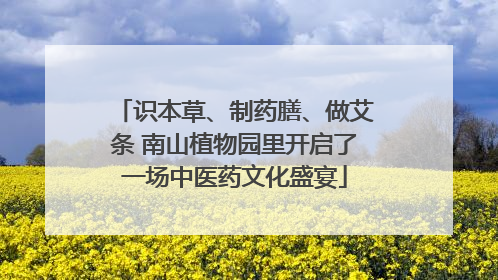 识本草、制药膳、做艾条 南山植物园里开启了一场中医药文化盛宴