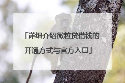 详细介绍微粒贷借钱的开通方式与官方入口