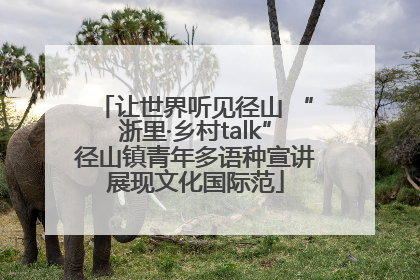 让世界听见径山 “浙里·乡村talk”径山镇青年多语种宣讲展现文化国际范