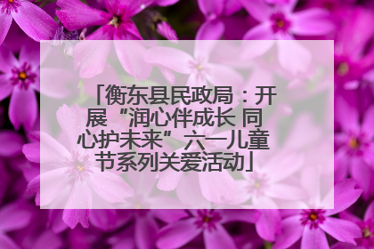 衡东县民政局：开展“润心伴成长 同心护未来”六一儿童节系列关爱活动