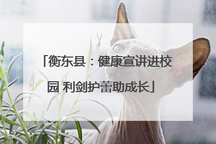 衡东县：健康宣讲进校园 利剑护蕾助成长