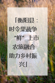 衡阳县：时令果蔬争“鲜”上市 农旅融合助力乡村振兴
