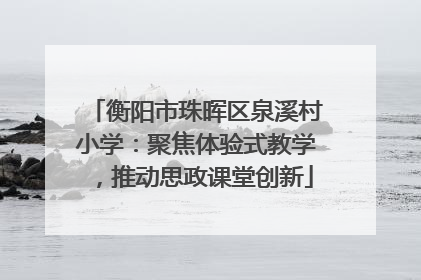 衡阳市珠晖区泉溪村小学：聚焦体验式教学，推动思政课堂创新