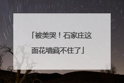 被美哭！石家庄这面花墙藏不住了