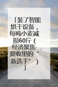 装了智能烘干设备，每吨小麦减损60斤（经济聚焦·夏收里的“新选手”）