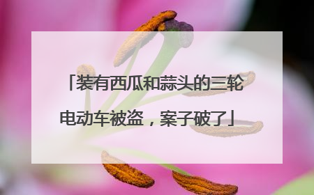装有西瓜和蒜头的三轮电动车被盗，案子破了