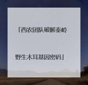 西农团队破解秦岭野生木耳基因密码