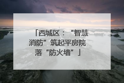 西城区：“智慧消防”筑起平房院落“防火墙”