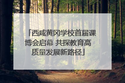 西咸黄冈学校首届课博会启幕 共探教育高质量发展新路径