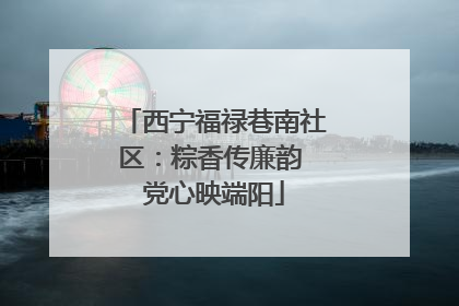 西宁福禄巷南社区：粽香传廉韵 党心映端阳