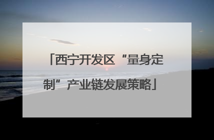 西宁开发区“量身定制”产业链发展策略