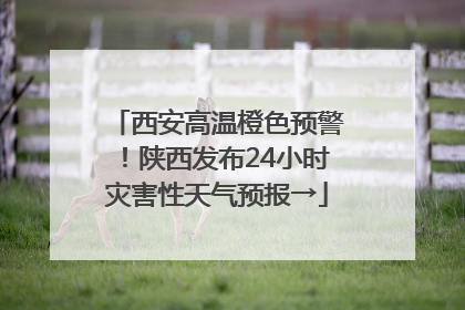 西安高温橙色预警！陕西发布24小时灾害性天气预报→