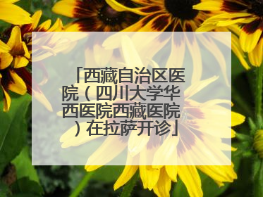西藏自治区医院（四川大学华西医院西藏医院）在拉萨开诊