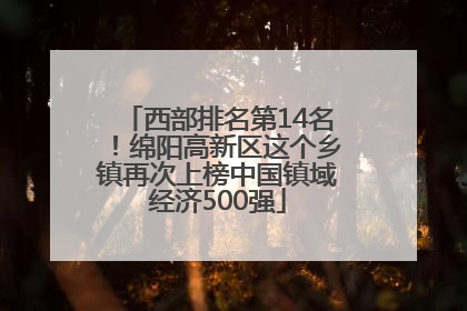 西部排名第14名！绵阳高新区这个乡镇再次上榜中国镇域经济500强