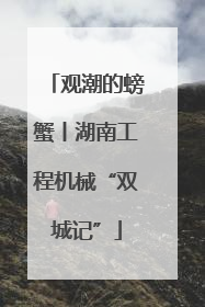 观潮的螃蟹丨湖南工程机械“双城记”