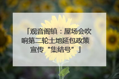 观音阁镇：屋场会吹响第二轮土地延包政策宣传“集结号”
