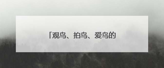 观鸟、拍鸟、爱鸟的“勺子王”李东明