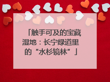 触手可及的宝藏湿地：长宁绿道里的“水杉镜林”