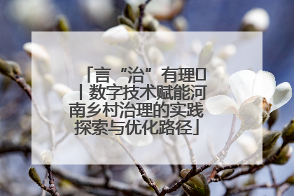 言“治”有理⑪丨数字技术赋能河南乡村治理的实践探索与优化路径