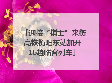 迎接“棋士”来衡 高铁衡阳东站加开16趟临客列车