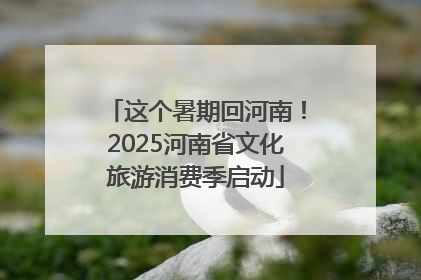 这个暑期回河南！2025河南省文化旅游消费季启动