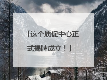 这个质促中心正式揭牌成立！