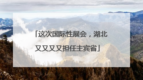 这次国际性展会，湖北又又又又担任主宾省