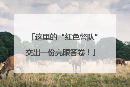 这里的“红色警队”交出一份亮眼答卷！