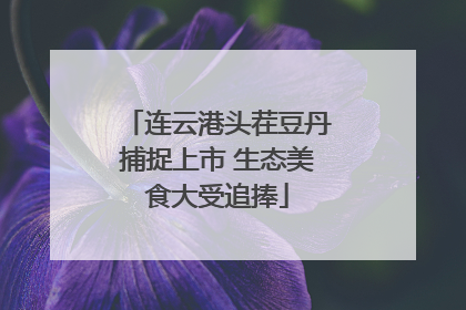 连云港头茬豆丹捕捉上市 生态美食大受追捧