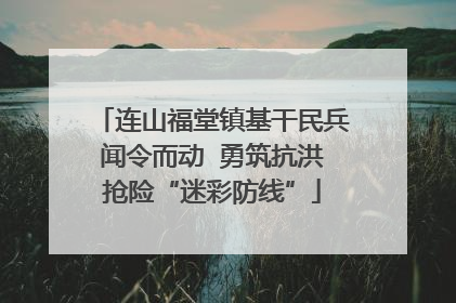 连山福堂镇基干民兵闻令而动  勇筑抗洪抢险“迷彩防线”