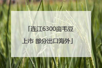 连江6300亩毛豆上市 部分出口海外