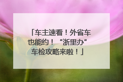 车主速看！外省车也能约！“浙里办”车检攻略来啦！