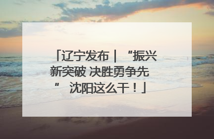 辽宁发布｜“振兴新突破 决胜勇争先” 沈阳这么干！