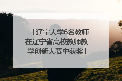 辽宁大学6名教师在辽宁省高校教师教学创新大赛中获奖
