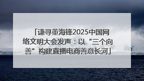 谦寻董海锋2025中国网络文明大会发声：以“三个向善”构建直播电商善意长河