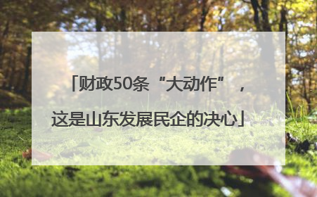 财政50条“大动作”，这是山东发展民企的决心