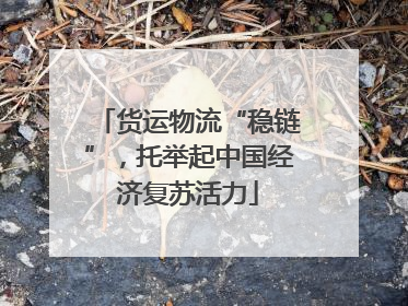 货运物流“稳链”，托举起中国经济复苏活力