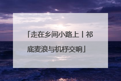 走在乡间小路上丨祁底麦浪与机杼交响