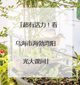 超有活力！看乌海市海勃湾阳光大课间