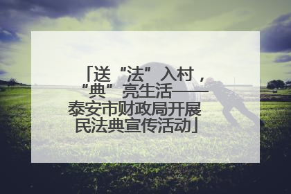 送“法”入村，“典”亮生活——泰安市财政局开展民法典宣传活动
