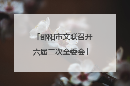 邵阳市文联召开六届二次全委会