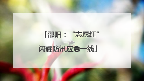 邵阳：“志愿红”闪耀防汛应急一线