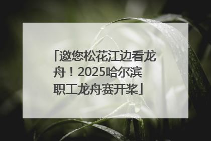 邀您松花江边看龙舟！2025哈尔滨职工龙舟赛开桨
