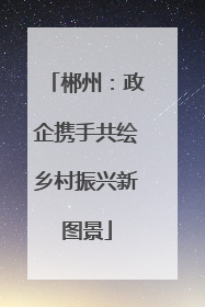 郴州：政企携手共绘乡村振兴新图景