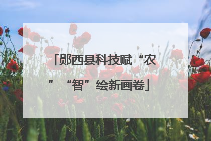 郧西县科技赋“农”“智”绘新画卷