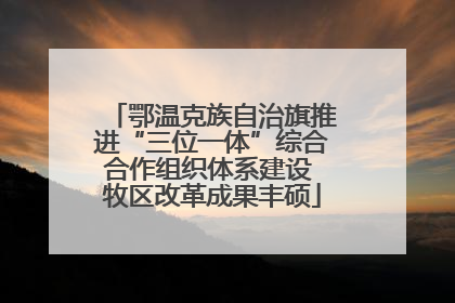 鄂温克族自治旗推进“三位一体”综合合作组织体系建设 牧区改革成果丰硕