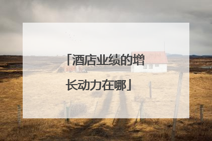 酒店业绩的增长动力在哪